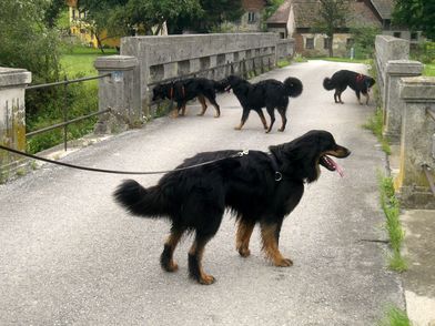 Benjamin, Crissy, Charris und c...